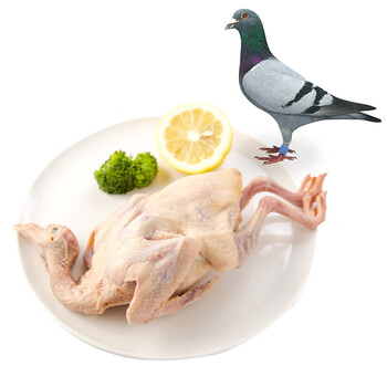 芮瑞 老鸽子新鲜鸽子肉 三只装 杀前约1200g 林间散养