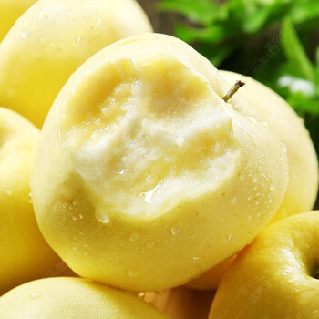 新鲜黄元帅苹果大果新鲜当季时令水果新鲜现货发 9斤装