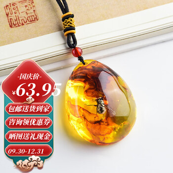 昆虫标本琥珀吊坠蝎子蝴蝶蜘蛛真虫项链挂件个性创意吊坠礼物 02#苍蝇