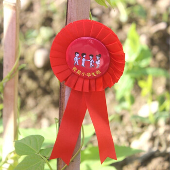 大红花表彰 小红花胸花别针小学生幼儿园期末礼物大花朵学校教师奖励