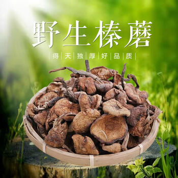 榛蘑丁小鸡炖蘑菇新鲜新货干货山货土特产农产品500g 250g【图片 价格