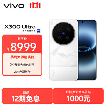 vivo X300 Ultra 16GB+512GB 银调 蔡司大师镜头群 全焦段4K 120fps 10bit Log 拍照 AI手机