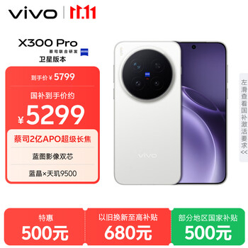 vivo X300 Pro 卫星通信版 12GB+512GB 简单白 蔡司2亿APO超级长焦 蓝图影像双芯 拍照 AI手机