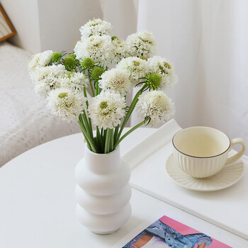 直发昆明直批礼品花束日常家用办公室花瓶插花 白色松虫草5支(8-10朵)