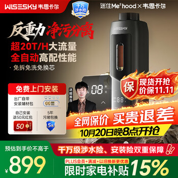WISESKY【包安装】韦思卡尔全自动反重力前置过滤器家用20吨大通量25微米反冲洗全铜防爆WSP-85-80T Pro 超20吨/H大通量-25μm-全自动顶配