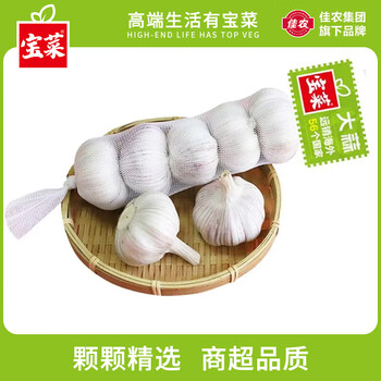 佳农宝菜 大蒜头紫白皮干蒜产地金乡红皮蒜批发大果新鲜大蒜生鲜蔬菜 5条装（5头/条 单果约5.0cm）