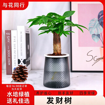 2026年10月16日更新【万能白菜价】的图片 第23张
