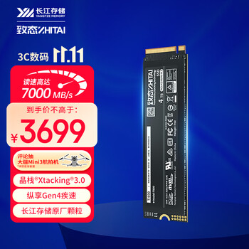 致态（ZhiTai）长江存储 4TB SSD固态硬盘 NVMe M.2接口 Ti600系列 (PCIe 4.0 产品)