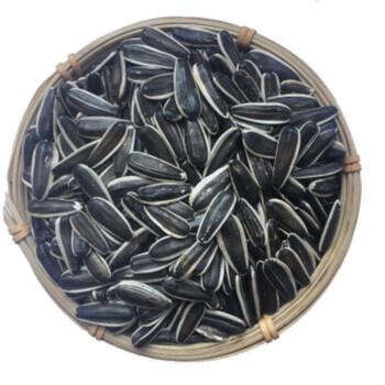 焙享苑1斤内蒙现炒葵花子原味瓜子大颗粒散装新货葵花籽5斤装一包大