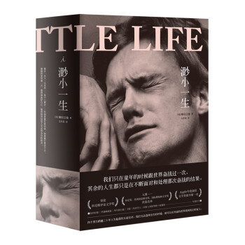 社会小说:渺小一生盒装上下册,珍视拥有的一切