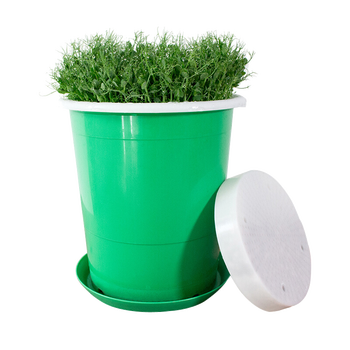 豆芽机十大名牌有哪些（豆芽机哪个牌子的质量好）