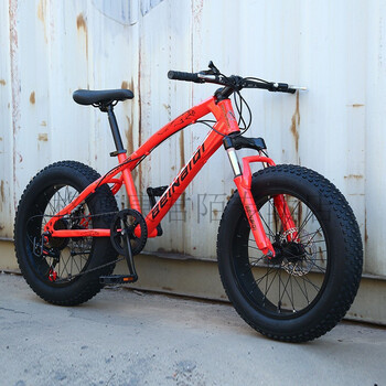 宽胎自行车雪地自行车大轮胎沙滩自行车金钱豹雪地车20/24/26寸4.