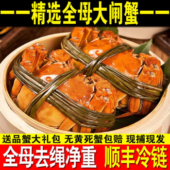 【活蟹】鹿凌青大闸蟹鲜活螃蟹礼盒 中秋大闸蟹海鲜礼品礼包 蟹类 公4.0-4.3两 母3.2-3.5两 5对