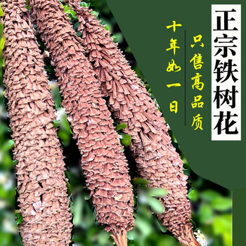 铁树雄花铁树花中药材500g克野生干花凤尾蕉另有雌花