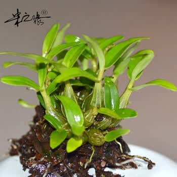 京东网上商城