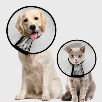 华畜7099 华畜伊丽莎白圈狗狗猫项圈脖套猫防舔圈猫咪宠物狗头罩头套防咬圈狗用品7号6斤以下 行情报价价格评测 京东