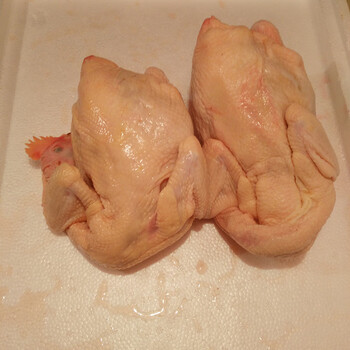 冻整鸡冻鸡食品半成品餐饮食材批发500g