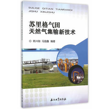苏里格气田天然气集输新技术