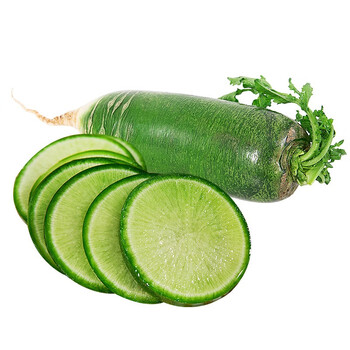 沙窝萝卜 天津特产现拔脆甜水果萝卜生吃小沙沃青萝卜 新鲜蔬菜 5斤装