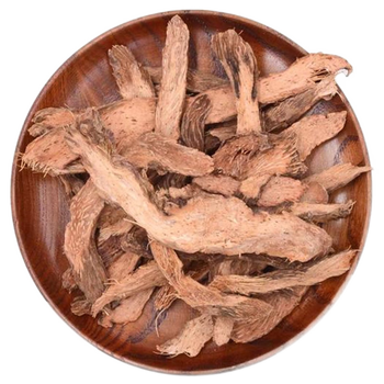 千年健1g中药饮片祛风湿壮筋骨用于风寒湿痹腰膝冷痛拘挛麻木筋骨痿软