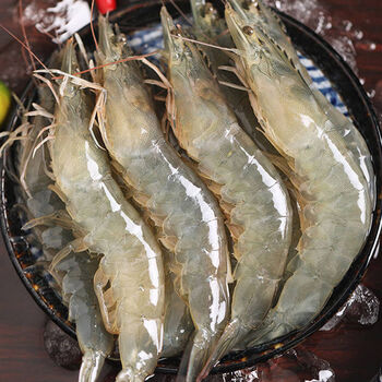 棠鲜生 罗氏沼虾 淡水大虾 河虾对虾 大头虾 海鲜大虾 5斤装 每斤12