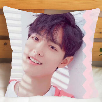 肖战周边抱枕头双面来图定制陈情令魏无羡蓝忘机女生应援生日礼物肖战