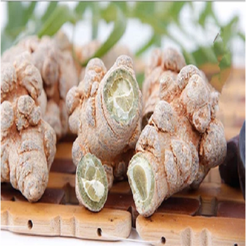 云南文山春三七头田七头三七粉田七粉500克送三七花茶玫瑰花 整个三七