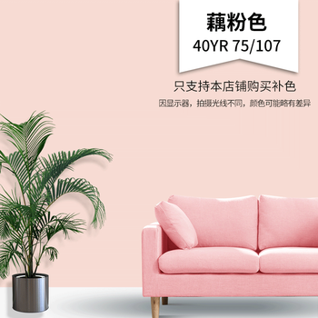 (dulux)乳胶漆室内彩色白色小桶内墙墙面翻新修补墙漆自刷涂料 藕粉 6