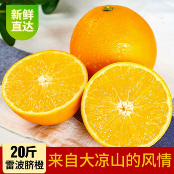 顺丰大凉山雷波脐橙10斤西昌脐橙正宗新鲜水果当季20斤精选20斤中果
