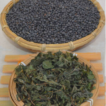 秦岭山区野生女贞子 旱莲草墨旱莲 旱莲草1斤加女贞子1斤