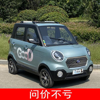 岭溪电动四轮车家用小型女士新能源电汽车油电混合两用电动车 整车