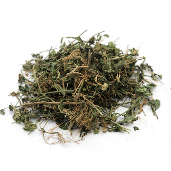 狗肝菜500g肝草新鲜干货自野生中药材九干菜猪肝菜路边青 1000克