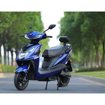 电动车60v外卖长跑王高速电摩 宝马蓝-适合男士 60v20a含5个20a铅酸