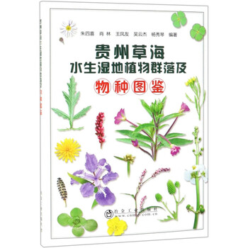 水生植物图鉴 京东商城 水生植物图鉴 京东商城