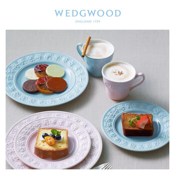 WEDGWOOD欢愉假日马克杯情侣对杯陶瓷杯子水杯咖啡杯高颜值礼物精致送礼 欢愉假日贴心蓝朋友马克杯