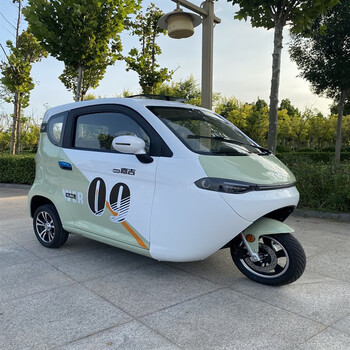 runtema电动三轮车家用全封闭小型低速车可挂牌abs材质代步车120锂
