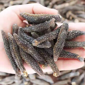 大连淡干海参淡干小海参干海参35年海参36厘米200克