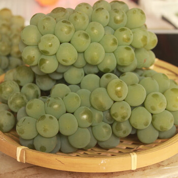 湖南水晶葡萄新鲜云南绿葡萄贵州青葡萄当季水果 4斤
