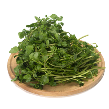 顺丰现货新鲜西洋菜豆瓣菜3斤凉菜水菜农家自种绿色蔬菜1000g 2斤 图片价格品牌报价 京东