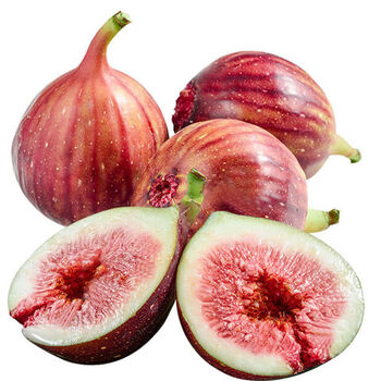 云南红皮无花果大果 当季孕妇水果紫皮红肉果爆甜 精品大果4斤【吃货