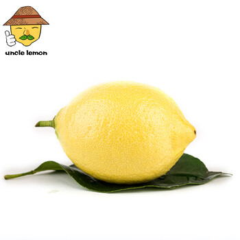uncle lemon四川安岳黄柠檬新鲜水果特产榨汁泡茶皮薄汁多产地直供 黄柠檬小果 5斤超值装
