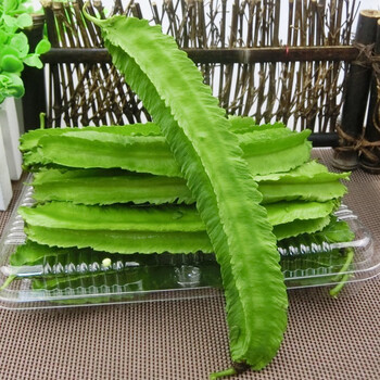 爵妃 海南三亚特产四角豆新鲜四棱豆香龙豆角蔬菜2-5斤应季现摘顺丰 3