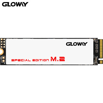 5日0点： GLOWAY 光威 骁将系列-极速版 M.2 NVMe 固态硬盘 240GB