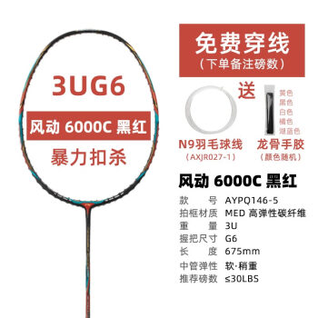 (便宜248元)风动6000C优惠多少钱