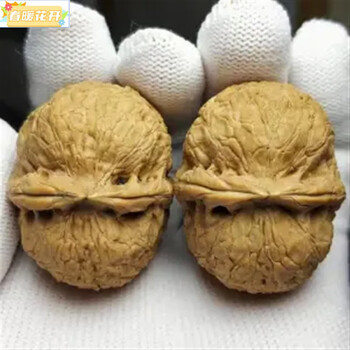 环宛云南铁核桃野生特级云铁文玩核桃精品配对打底元宝金蟾蛤蟆头矮桩