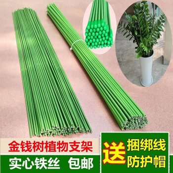 采缇金线树支架兰花造型铁线花卉支柱蔬菜瓜果爬藤架植物固定支撑杆10根金钱树支架送3米线 10个护帽 3mm细 50cm长 图片价格 采缇金线树支架兰花造型铁线花卉支柱蔬菜瓜果爬藤架植物固定支撑杆10根金钱树支架送3米线 10个护帽 3mm细 50cm长 图片价格
