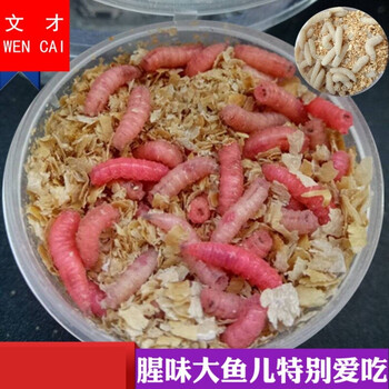 钓鱼活体蛆虫活蛆肉蛆大蛆红色蛆牙子活虫瓶装活饵渔具店货源鱼饵红色60盒小盒 省外地区拍 图片价格品牌报价 京东