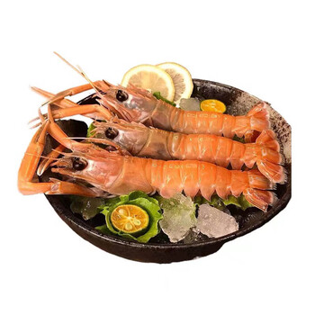 舟山鳌虾刺身鲜活东海特大海鳌虾刺身日料专用海鲜水产大甜虾 1000g