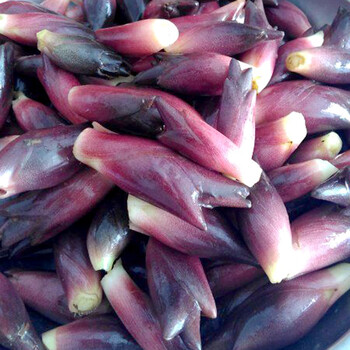 洋火姜 阳荷姜5斤云南新鲜洋火野菜阳藿阳和姜蘘荷姜笋洋荷蔬菜 500g