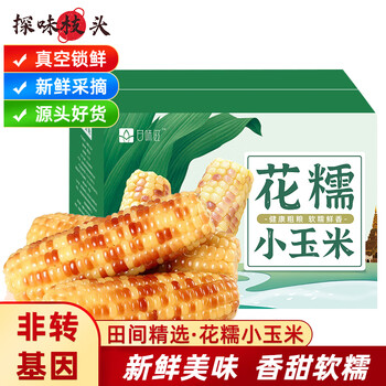 探味枝头云南西双版纳花糯小玉米12-16支装5斤中秋节礼品新鲜黏甜玉米蔬菜